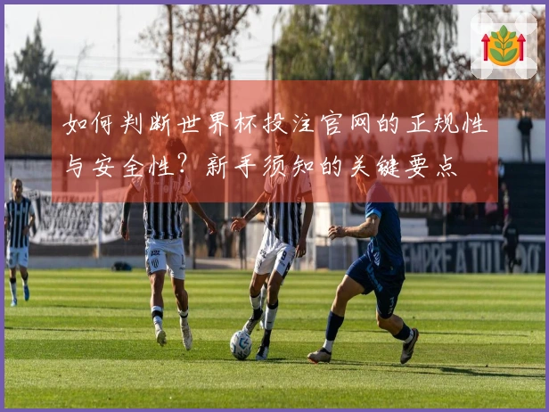 如何判断世界杯投注官网的正规性与安全性？新手须知的关键要点