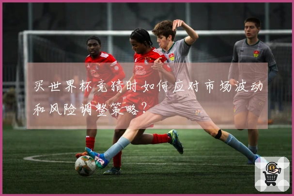 买世界杯竞猜时如何应对市场波动和风险调整策略？