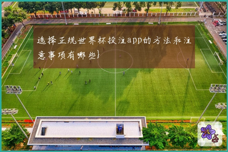 选择正规世界杯投注app的方法和注意事项有哪些}