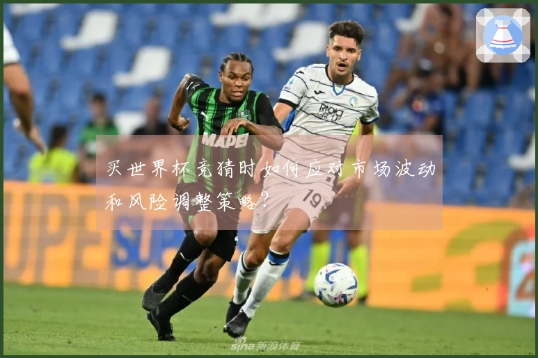 买世界杯竞猜时如何应对市场波动和风险调整策略？