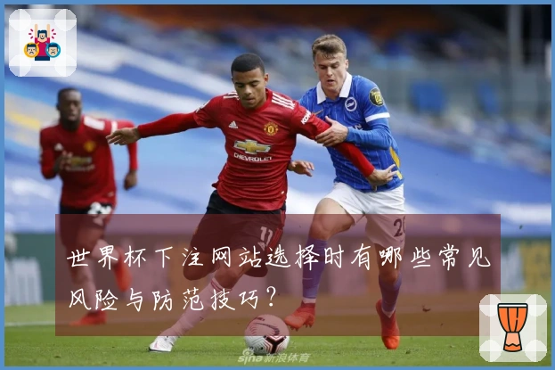 世界杯下注网站选择时有哪些常见风险与防范技巧？